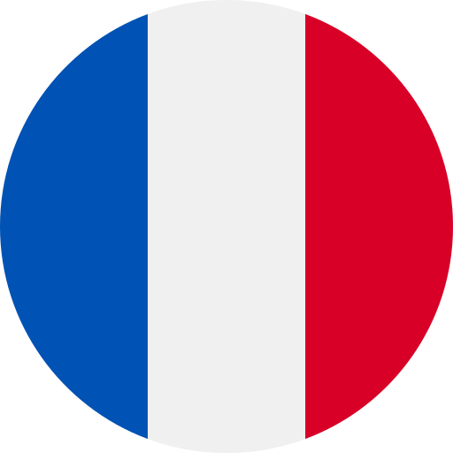 Icon lang français